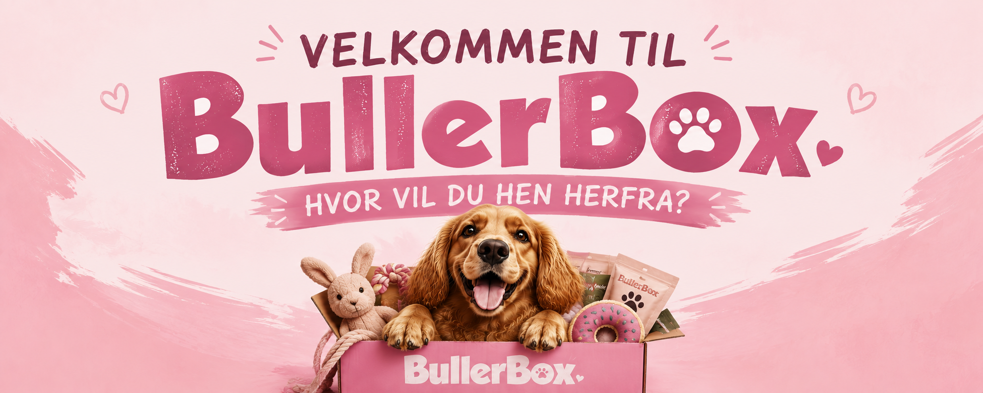 Hvad skal vi hjaelpe dig med at finde